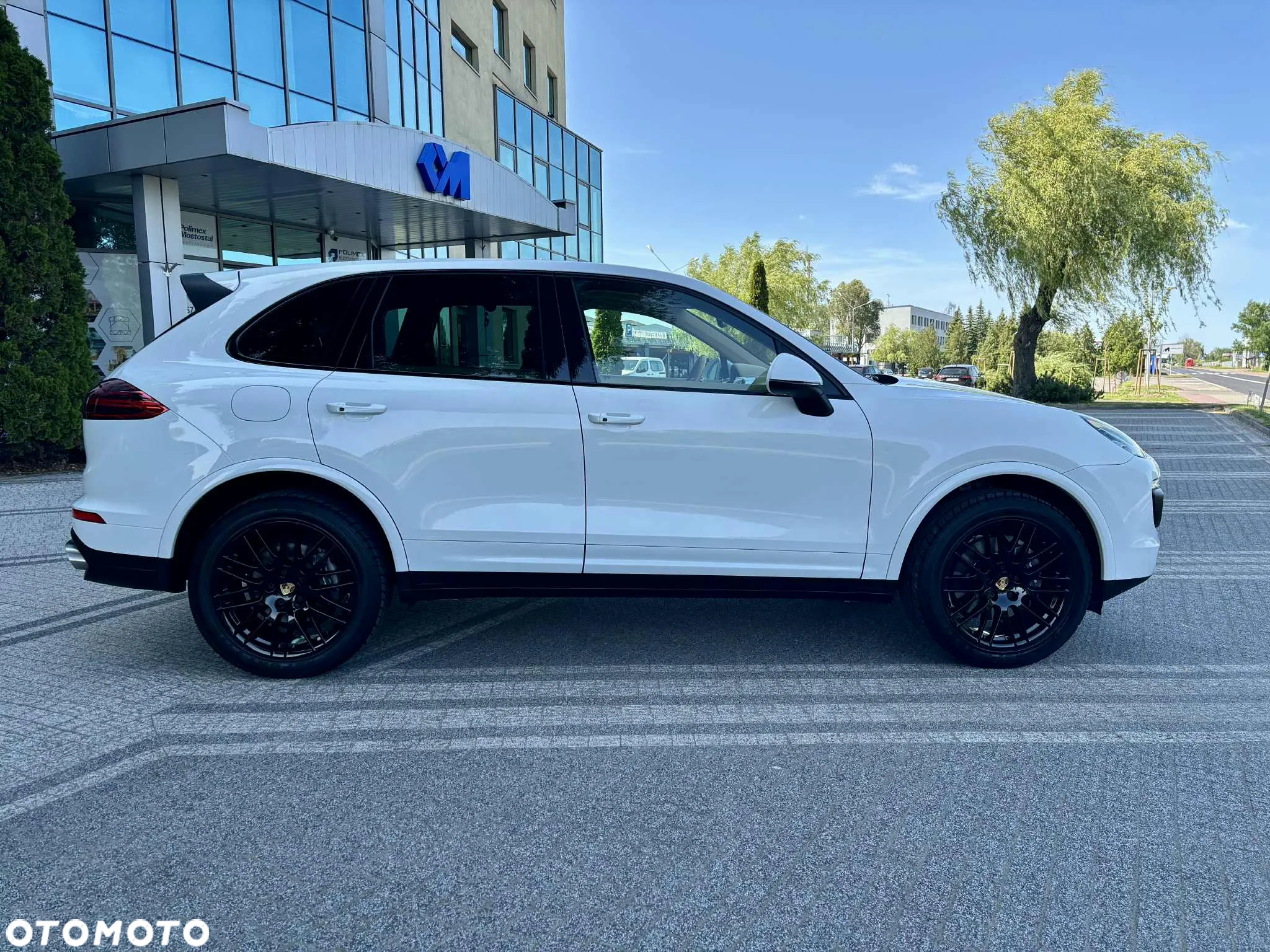 Porsche Cayenne Platinum Edition - 6