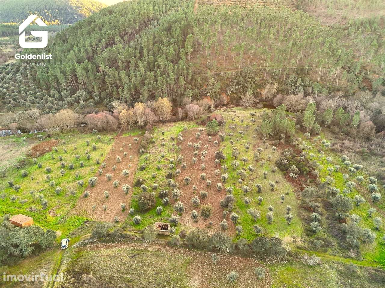 Quintinha  Venda em Freixial e Juncal do Campo,Castelo Branco - Grande imagem: 4/27