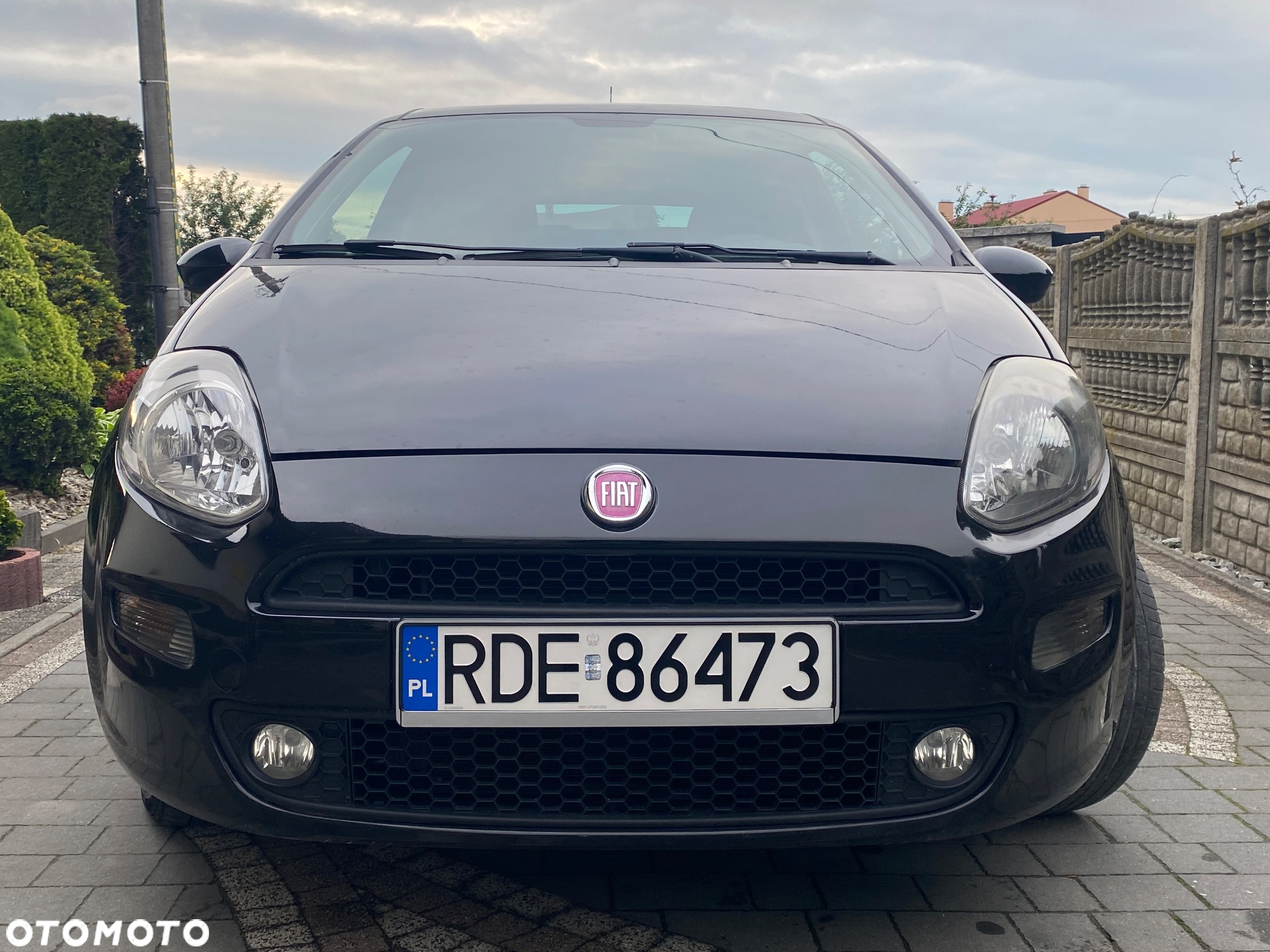 Fiat Punto - 7