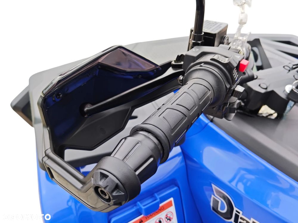 Diabolini Inny - 32
