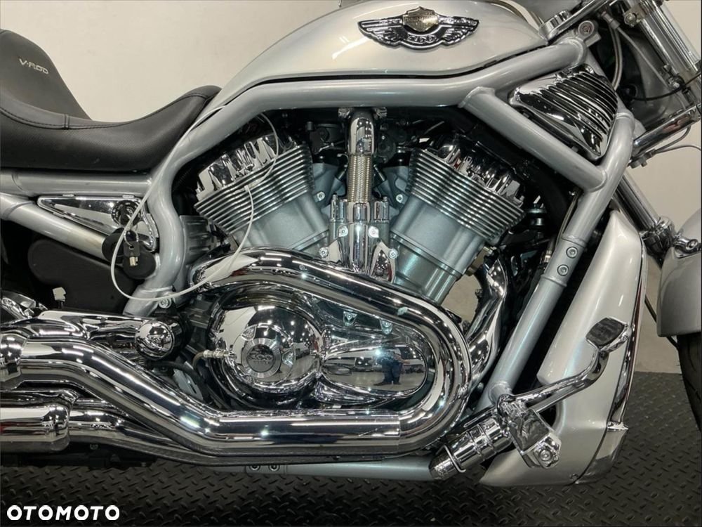 Harley-Davidson Softail V-Rod - 6