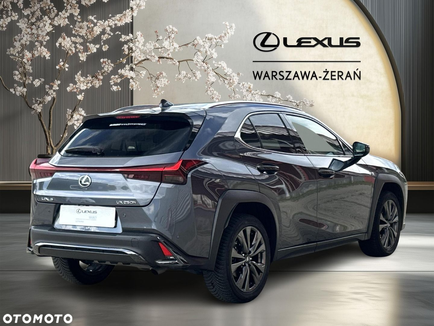 Lexus UX 250h GPF F Sport Design 2WD - 7