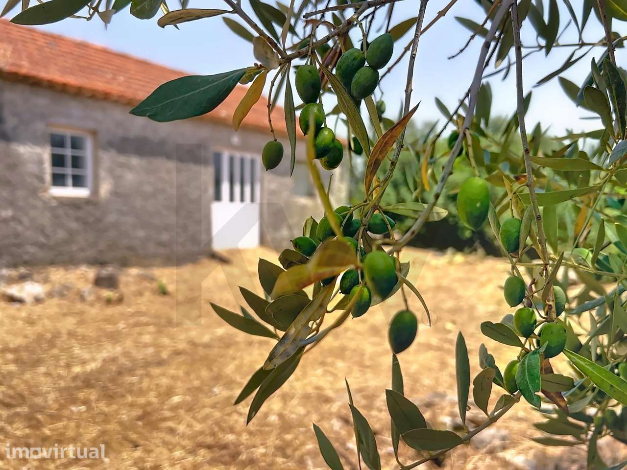 Venda Quinta da Nogueira: O Seu Refúgio no Coração de Évora de Alcobaç - Grande imagem: 4/33