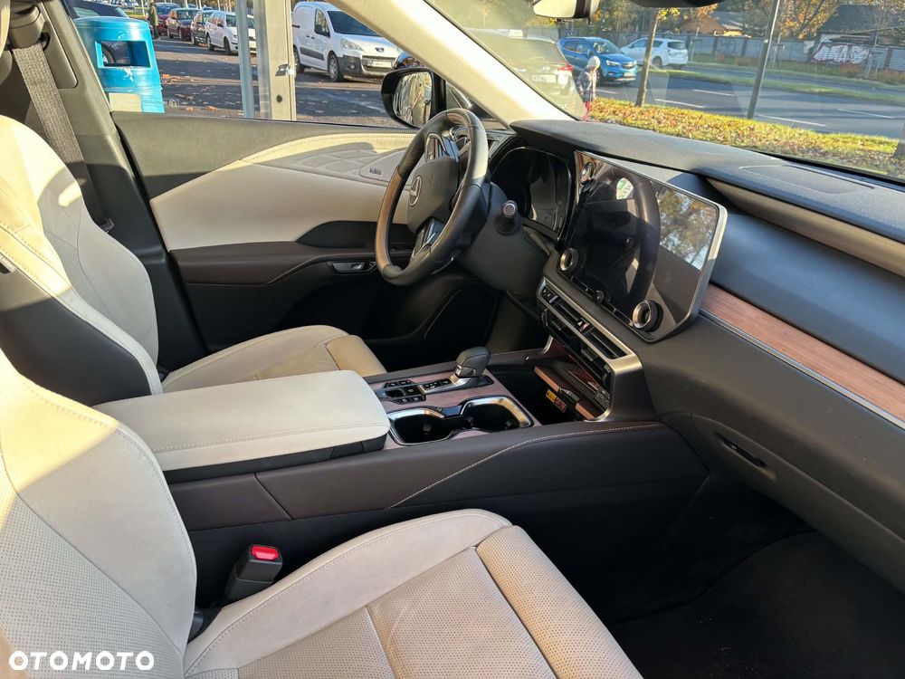 Lexus RX - 19