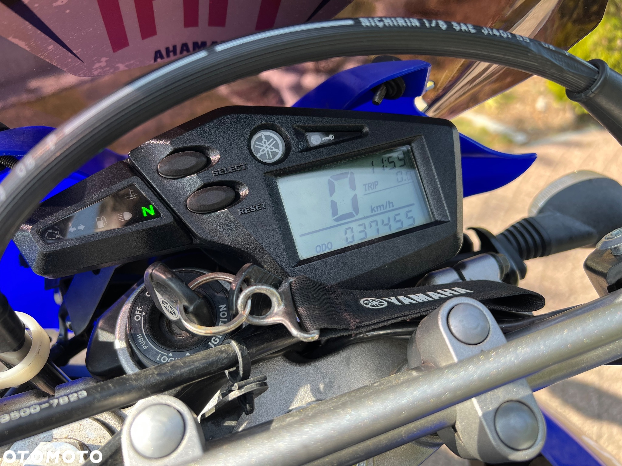 Yamaha XT - 31