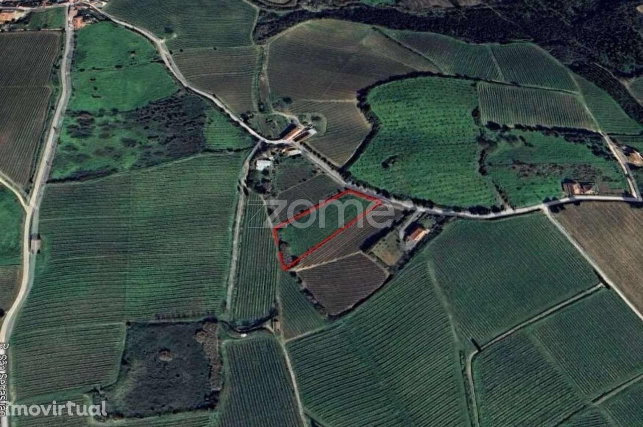 Terreno rústico em Aldeia Gavinha, Alenquer - Grande imagem: 3/11