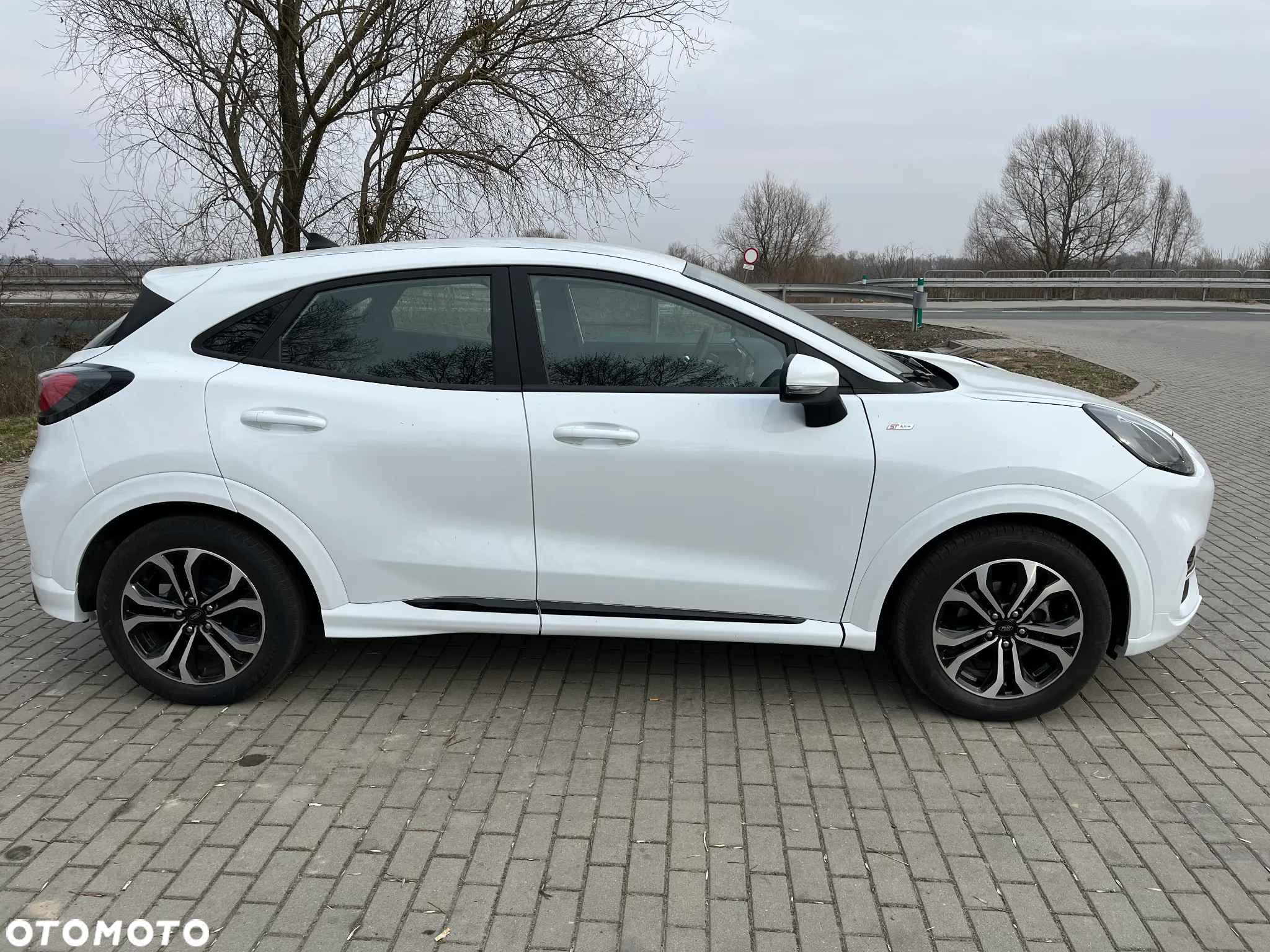 Ford Puma 1.0 EcoBoost mHEV ST-Line V DCT - 10