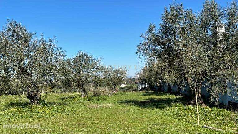 Terreno para construção com projeto aprovado em lote 1894m2  - Tomar - Grande imagem: 3/10