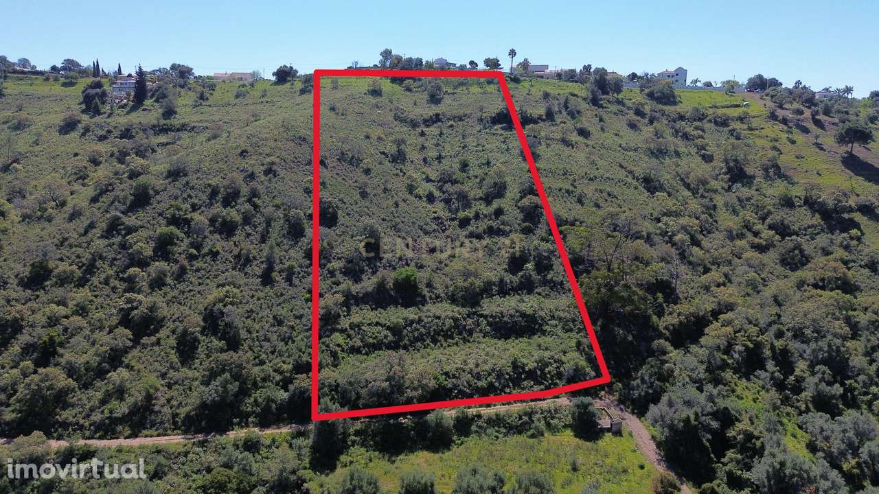 Terreno rústico em São Bartolomeu de Messines - Grande imagem: 2/4