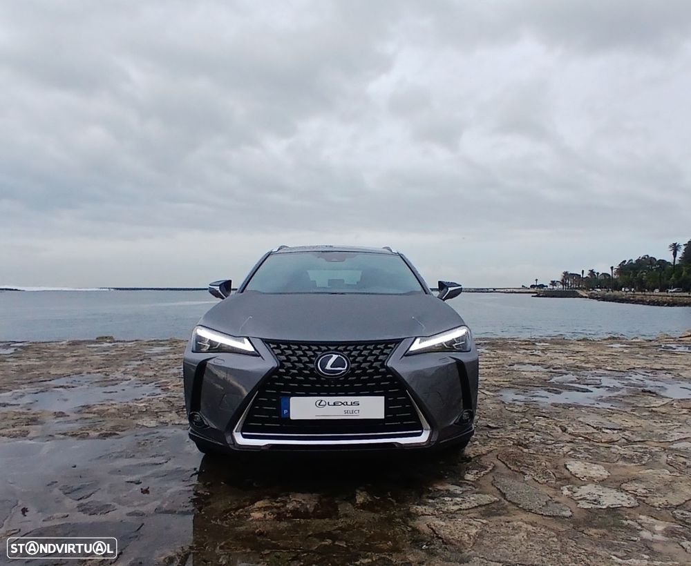 Lexus UX 300e Luxury - 8