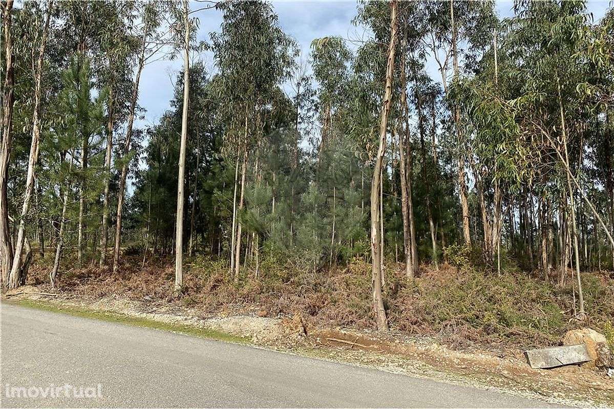 Terreno  para venda - Grande imagem: 2/9