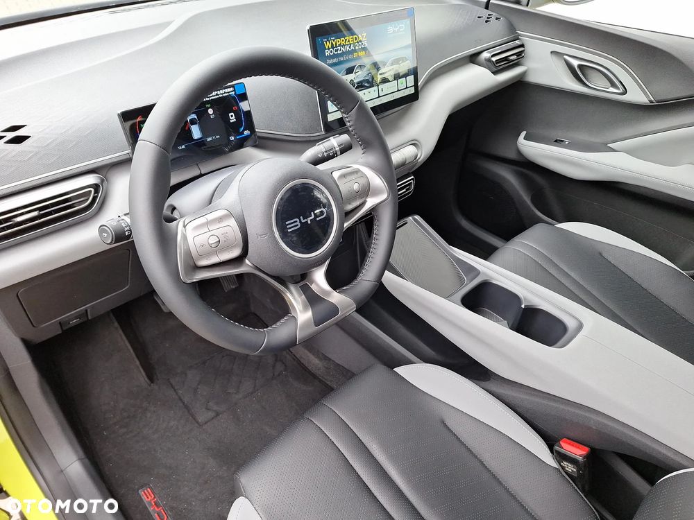 BYD Dolphin Surf - 10