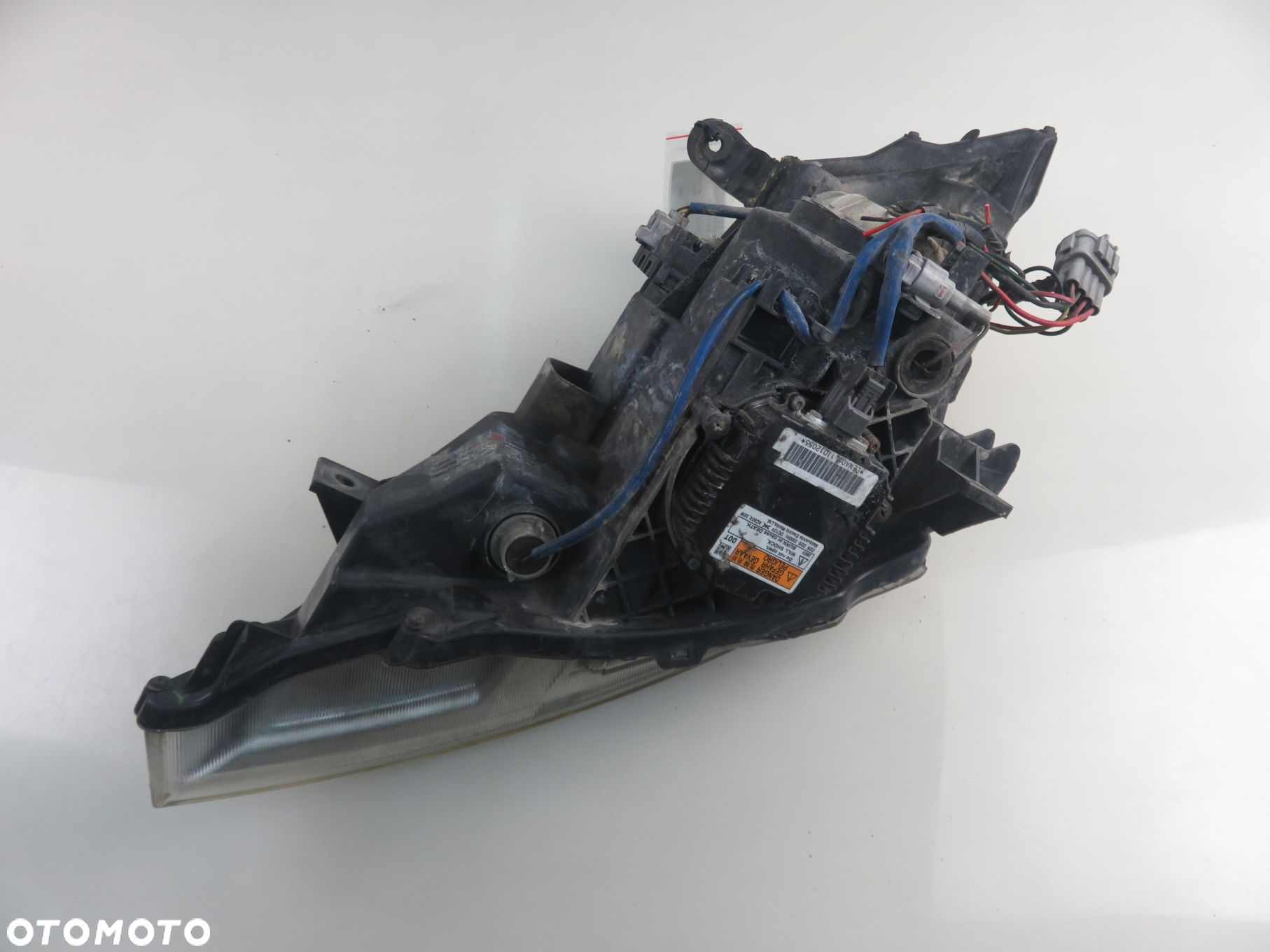 LAMPA PRAWA PRZEDNIA NISSAN MURANO I (Z50) - 6