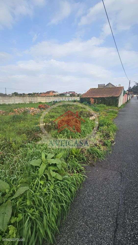 Terreno para construção de moradia em Vagos - Grande imagem: 4/4