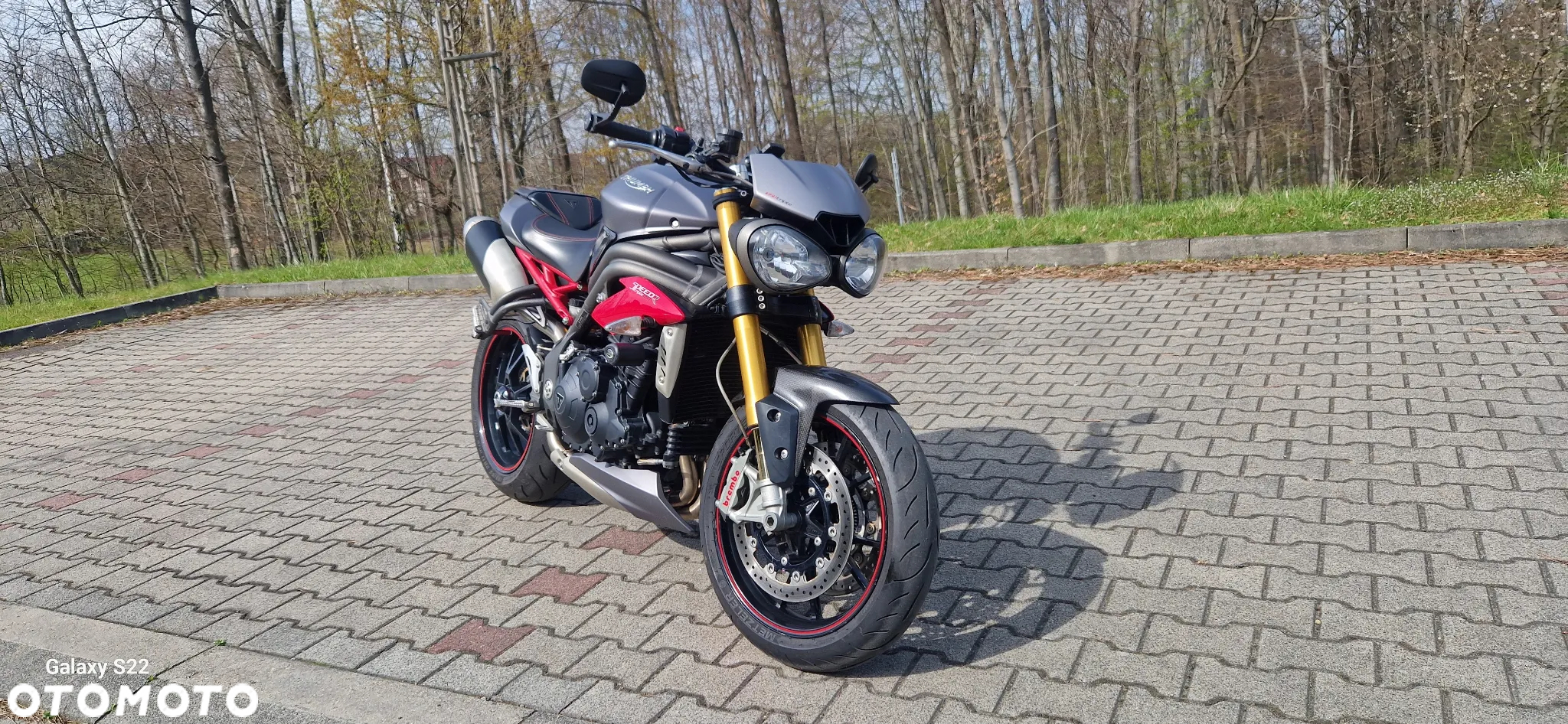 Triumph Speed Triple - 10