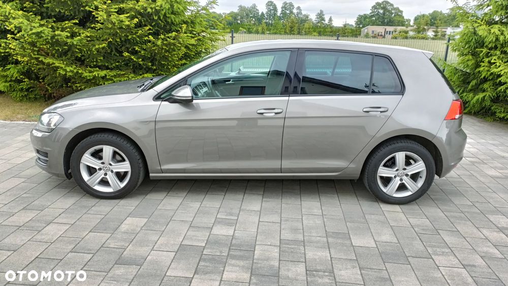 Volkswagen Golf - 15