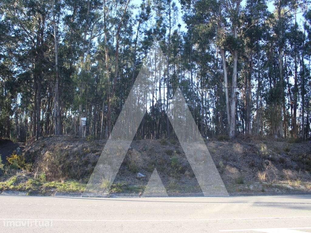 Terreno na Giesteira - Águeda! - Grande imagem: 2/15