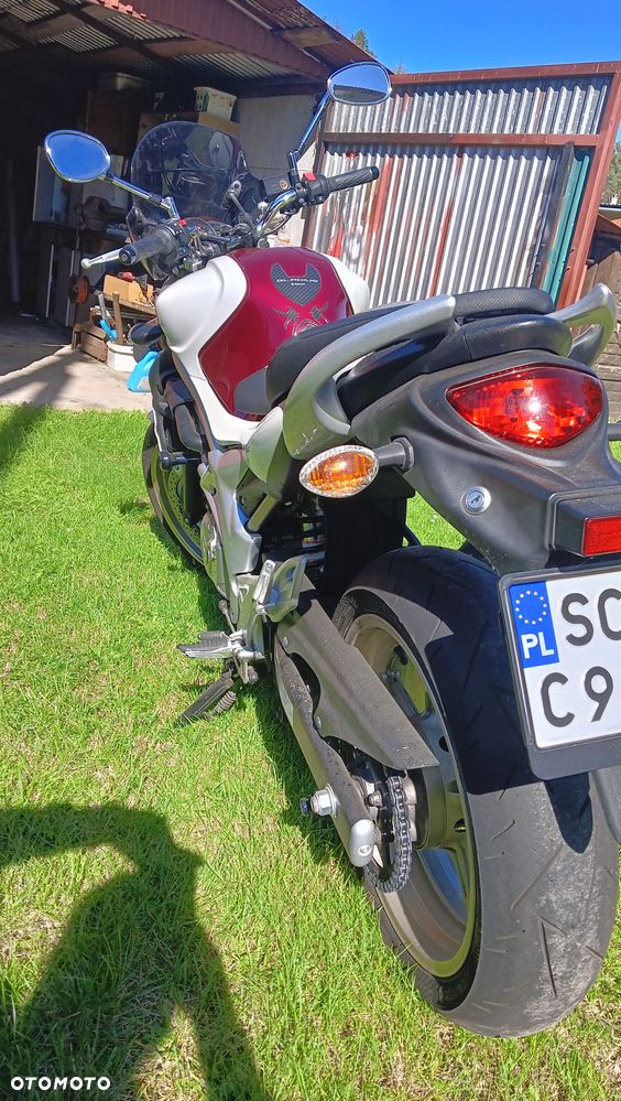Suzuki Gladius - 4