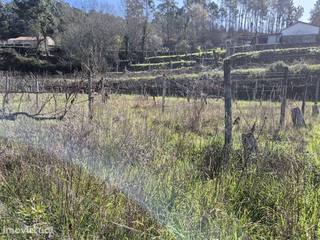 Lote de Terreno para Moradia - Grande imagem: 3/7