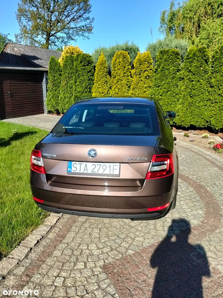 Skoda Octavia 2.0 TDI Edition - 16