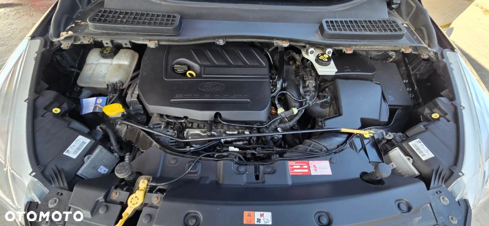 Ford Kuga 1.5 EcoBoost 4x4 Titanium - 39