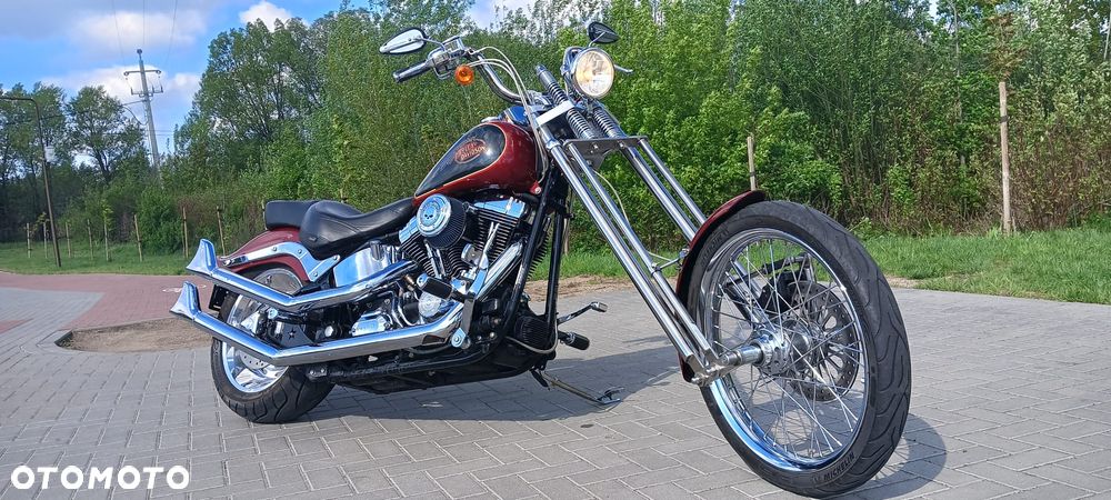 Harley-Davidson Softail Custom - 1