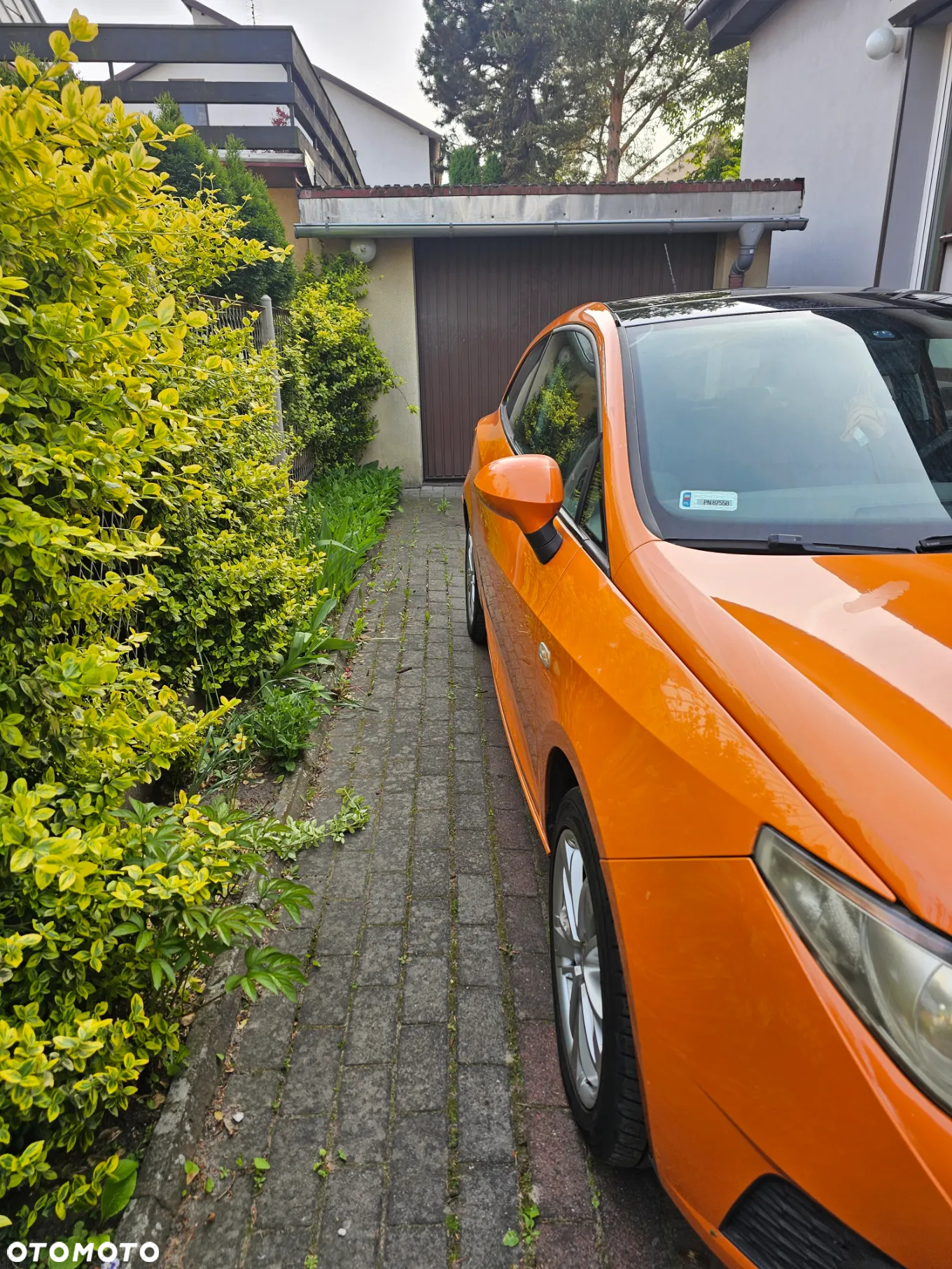 Seat Ibiza - 6