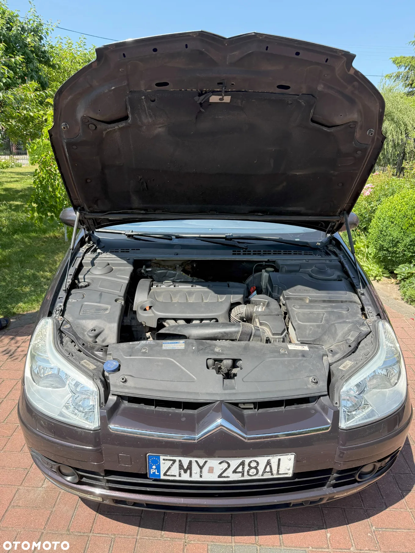 Citroën C5 II 1.8i 16V Impress - 16