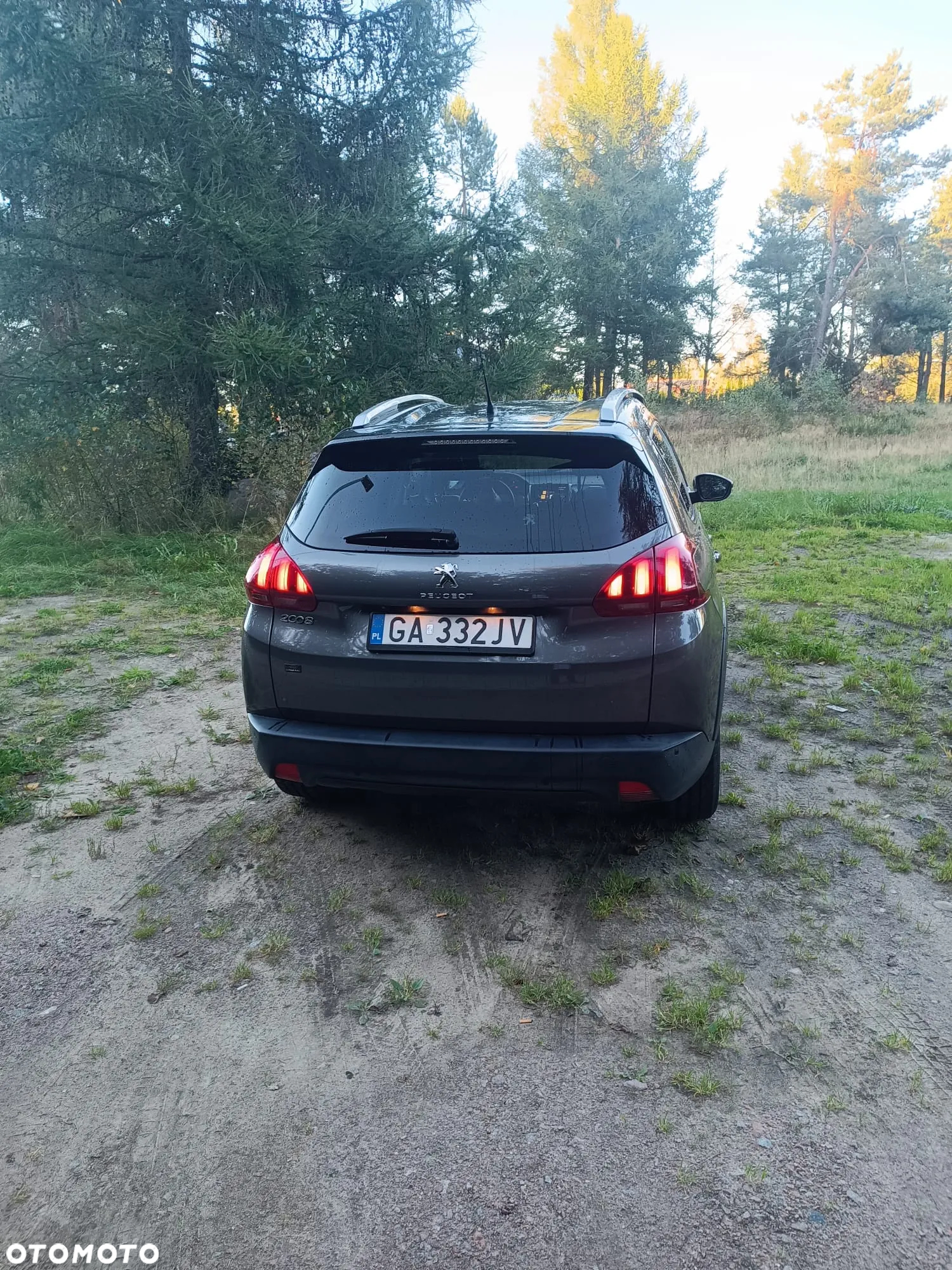 Peugeot 2008 1.2 Pure Tech GPF Signature S&S - 9
