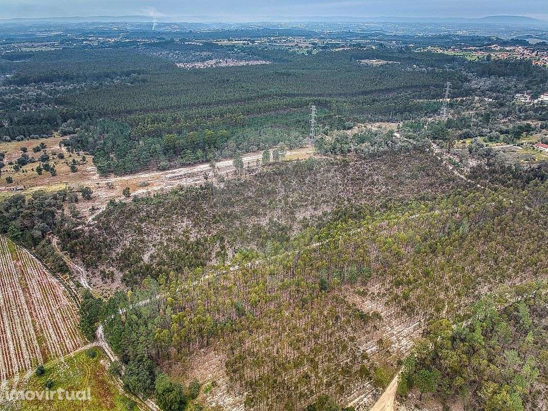 Terreno  para venda - Grande imagem: 3/18