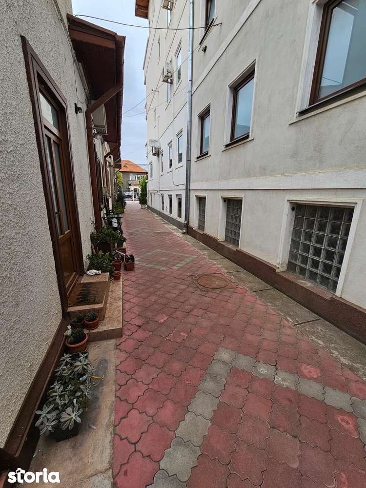 Vila Cotroceni - Imagine principală: 2/11