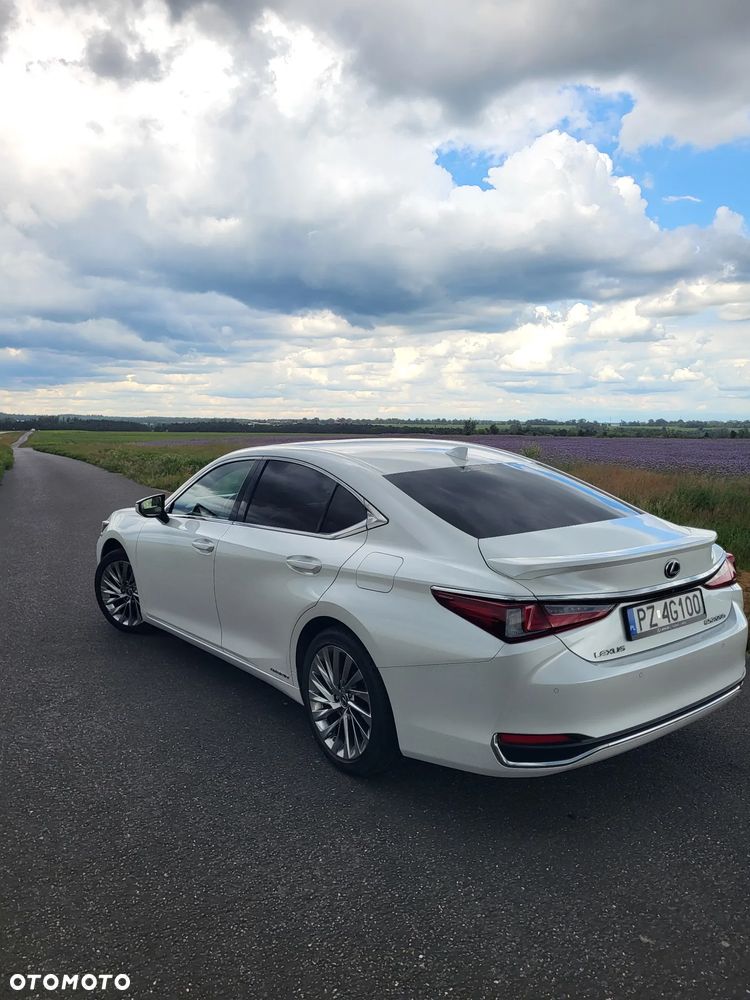 Lexus ES 300h Omotenashi - 6