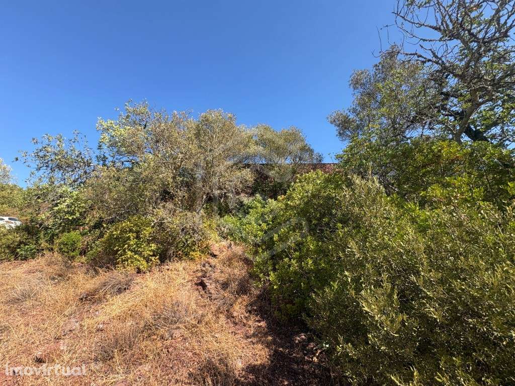 Moradia em ruína com terreno, Loulé, Algarve - Grande imagem: 3/22