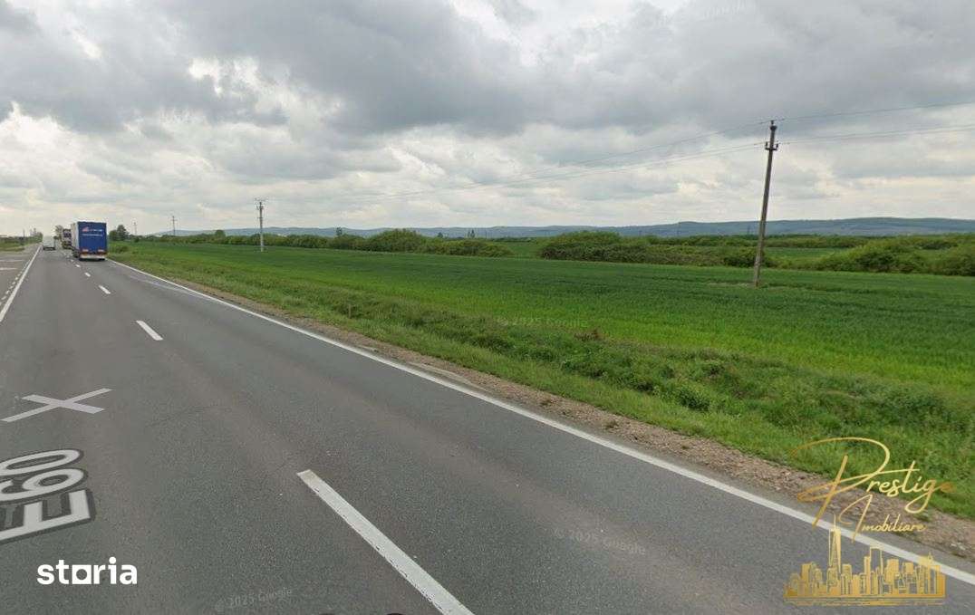 Teren extravilan 2 ha de vanzare in comuna Sacadat - judetul Bihor - Imagine principală: 2/5