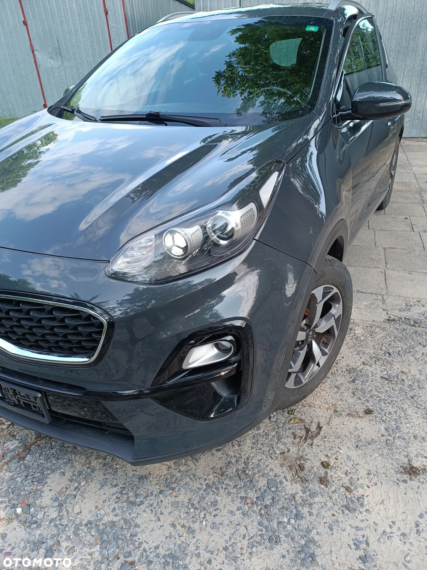 Kia Sportage 1.6 CRDI 2WD Eco-Dynamics+ (48V M-H) Black Edition - 9