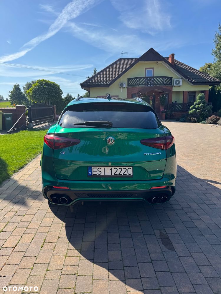 Alfa Romeo Stelvio 2.9 Bi Turbo V6 Quadrifoglio Q4 - 19