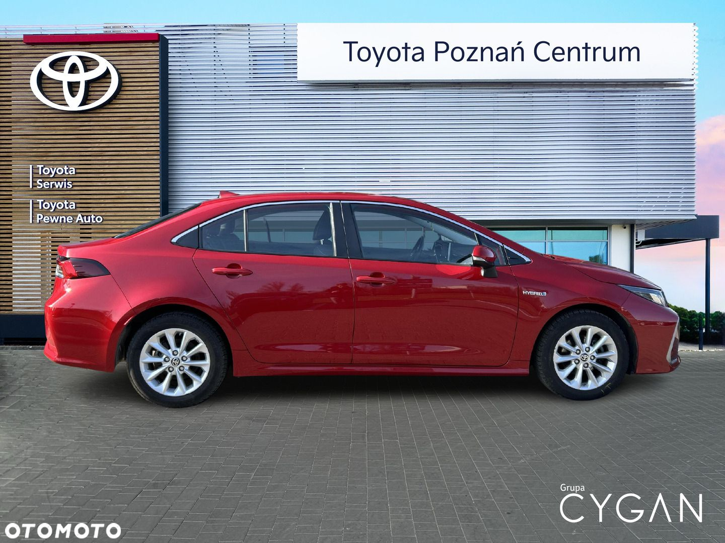 Toyota Corolla - 6