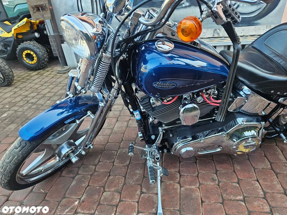 Harley-Davidson Softail Standard - 8