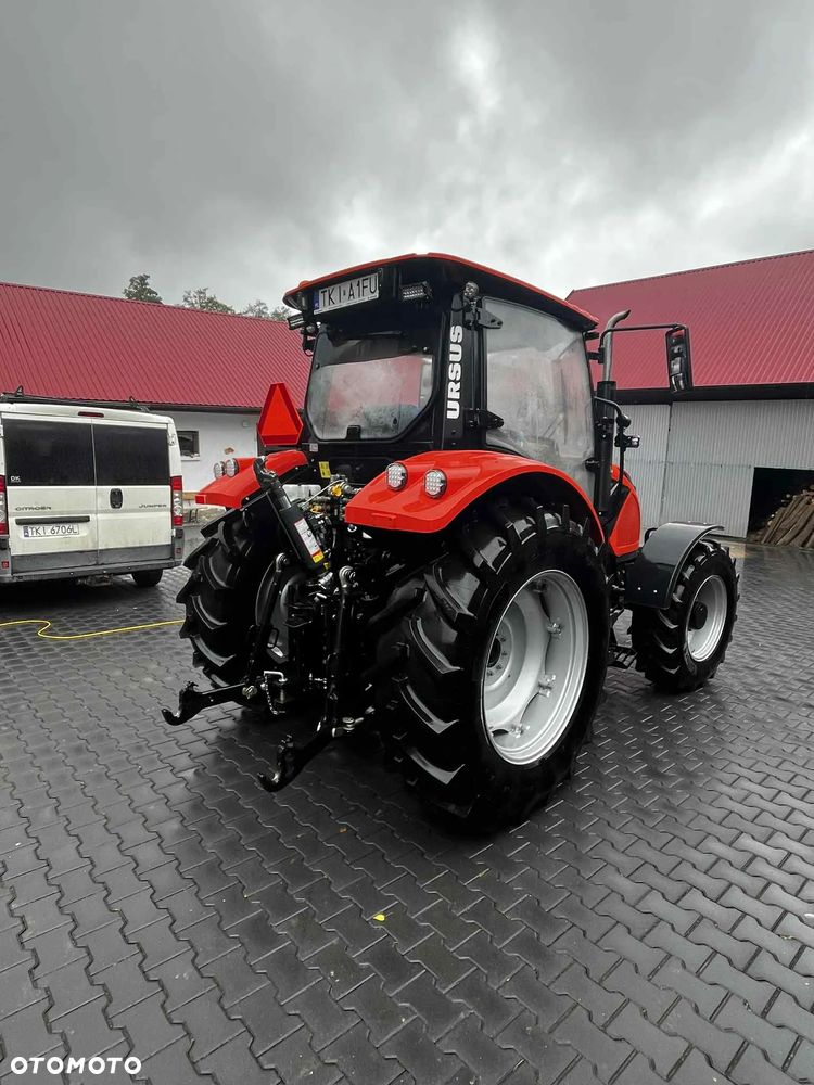 Ursus ursus c-3110 - 5