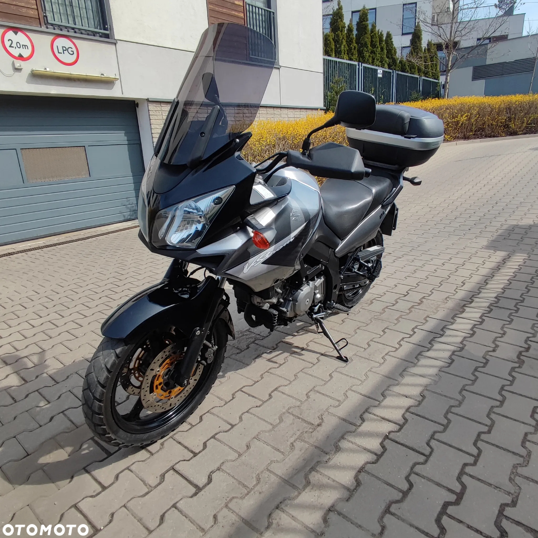 Suzuki DL - 3
