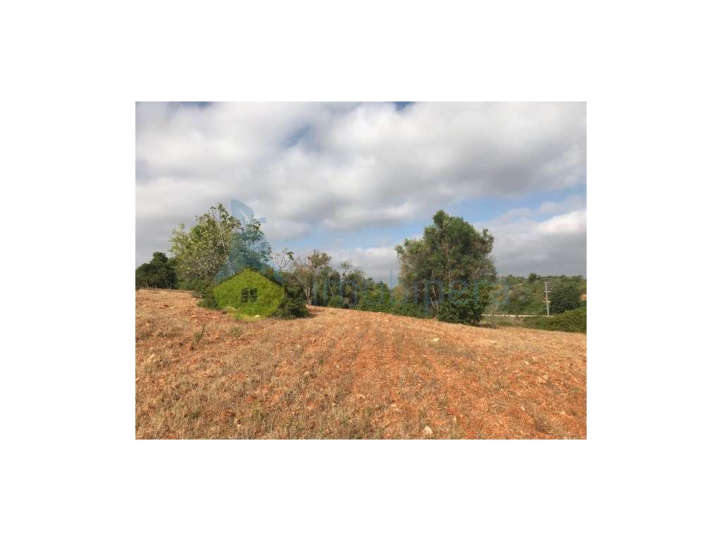 TERRENO RÚSTICO COM EXCELENTE LOCALIZAÇÃO-CANAIS-ALBUFEIRA - Grande imagem: 2/25