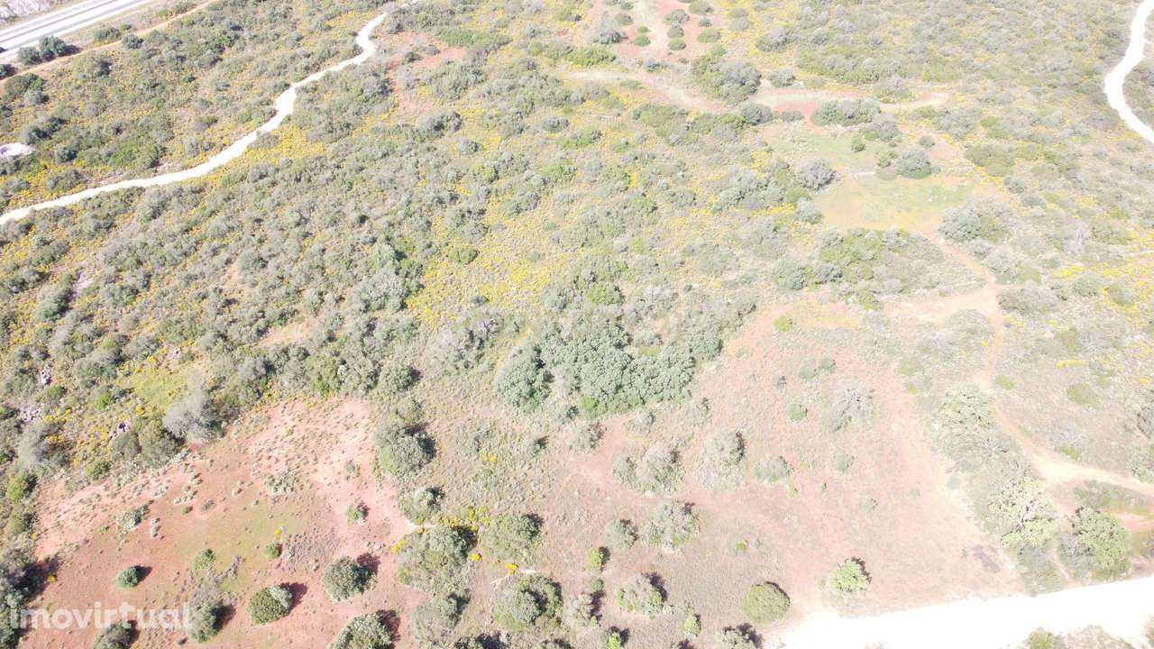 Terreno Rústico com 4950 m2 localizado em Monteiros, São Sebastião, Lo - Grande imagem: 4/8