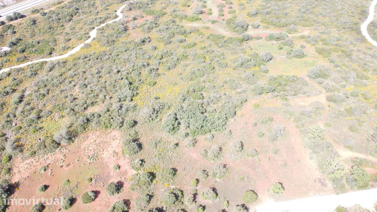 Terreno Rústico com 4950 m2 localizado em Monteiros, São Sebastião, Lo - Grande imagem: 4/8