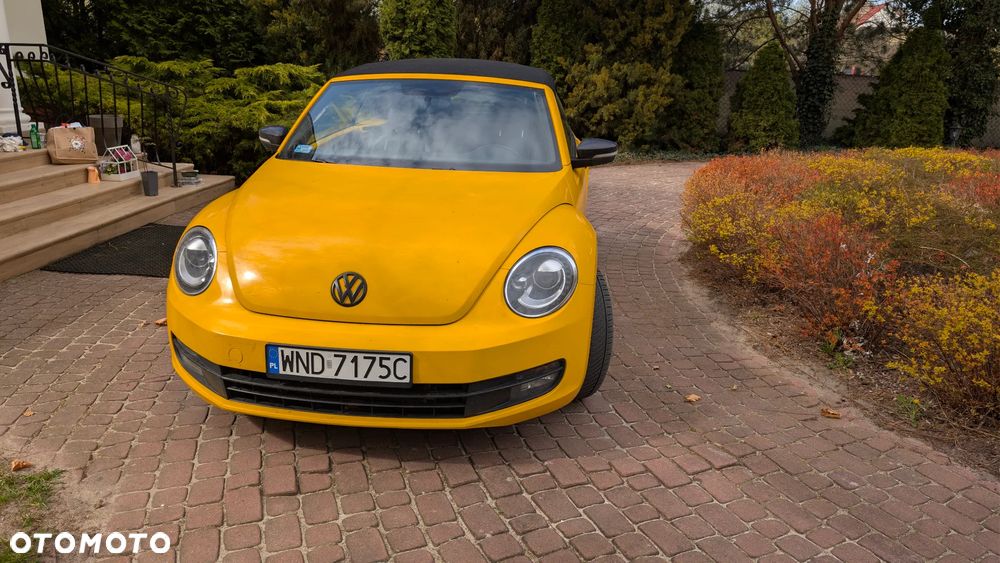 Volkswagen Beetle - 9