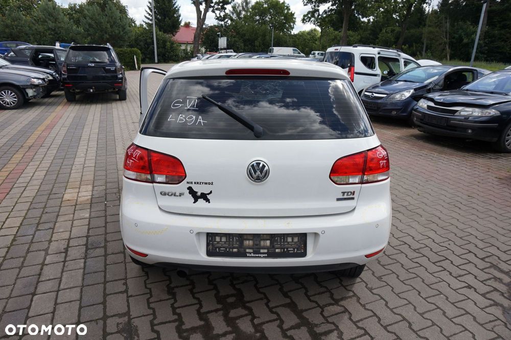 VOLKSWAGEN GOLF VI 5D HB 2011 LB9A 1.6 TDI CAYC 105KM LUB BIAŁY na części - 4