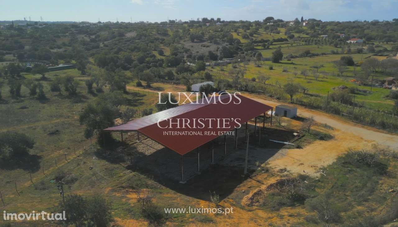 Amplo Terreno rústico para venda em Albufeira, Algarve - Grande imagem: 5/9