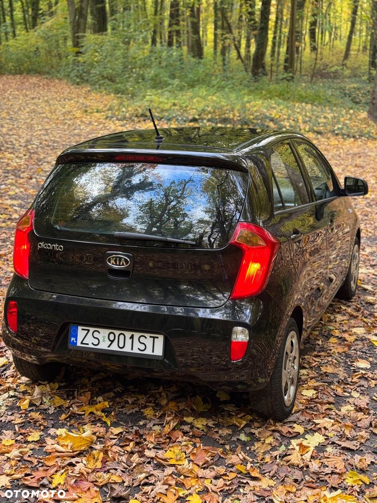 Kia Picanto - 5