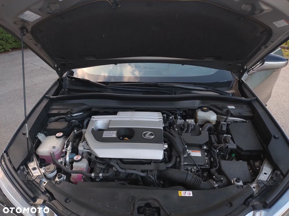 Lexus UX 250h F Sport 2WD - 21