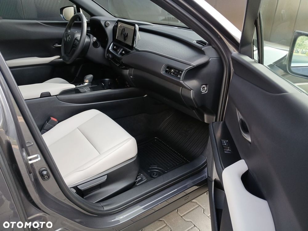 Lexus UX 300h F Sport Design AWD - 23