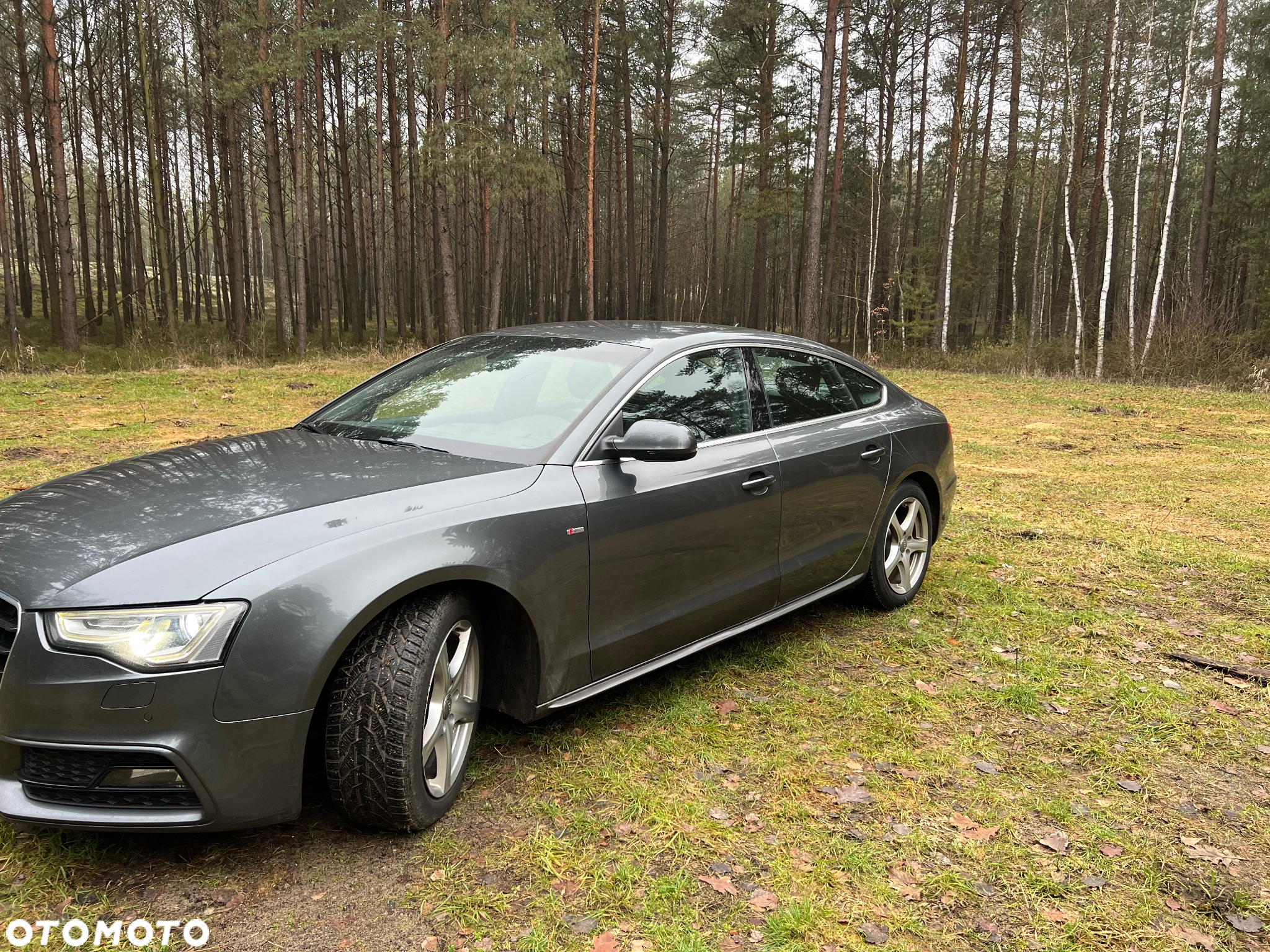 Audi A5 2.0 TDI clean diesel Quattro S tronic - 5